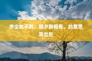 市尘吹不到，朝夕静相看。的意思及出处