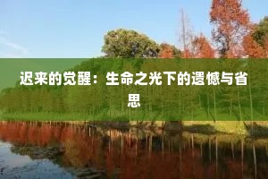 迟来的觉醒：生命之光下的遗憾与省思