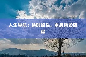 人生导航：适时掉头，重启精彩旅程