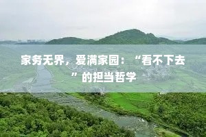 家务无界，爱满家园：“看不下去”的担当哲学