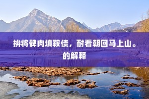 拚将髀肉填鞍债，耐看朝回马上山。的解释