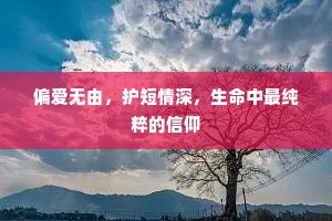 偏爱无由，护短情深，生命中最纯粹的信仰