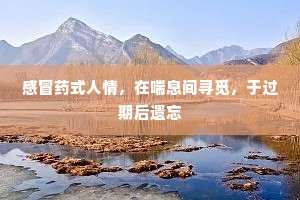 感冒药式人情，在喘息间寻觅，于过期后遗忘