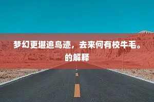 梦幻更堪追鸟迹，去来何有校牛毛。的解释