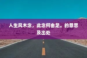 人生风木念，此念何由足。的意思及出处