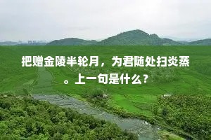 把赠金陵半轮月，为君随处扫炎蒸。上一句是什么？