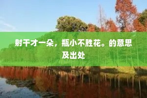 射干才一朵，瓶小不胜花。的意思及出处