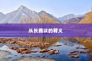 从长商议的释义