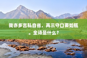 我亦多言私自省，再三守口要如瓶。全诗是什么？