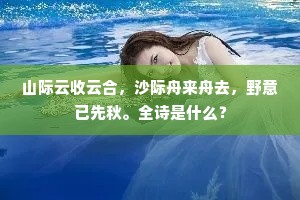 山际云收云合，沙际舟来舟去，野意已先秋。全诗是什么？