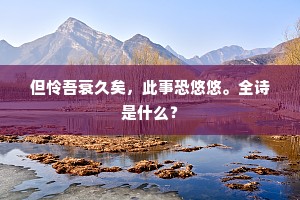 但怜吾衰久矣，此事恐悠悠。全诗是什么？