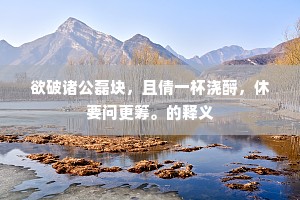 欲破诸公磊块，且倩一杯浇酹，休要问更筹。的释义