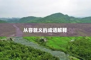 从容就义的成语解释