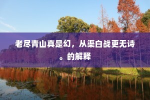 老尽青山真是幻，从渠白战更无诗。的解释