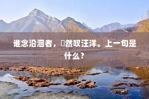 谁念沿洄者，睪然叹汪洋。上一句是什么？