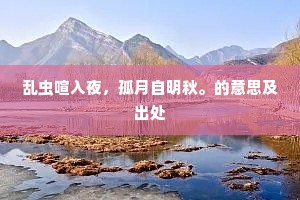 乱虫喧入夜，孤月自明秋。的意思及出处