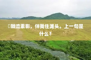 姮娥流素影，伴我住滩头。上一句是什么？