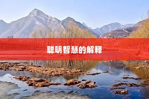 聪明智慧的解释