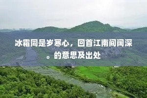 冰霜同是岁寒心，回首江南间阔深。的意思及出处