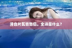 漳台片瓦皆愁侣。全诗是什么？