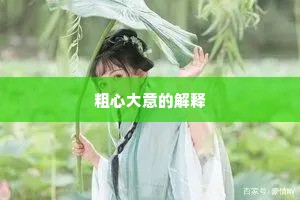 粗心大意的解释