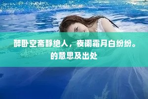 醉卧空斋静绝人，夜阑霜月白纷纷。的意思及出处