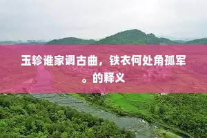玉轸谁家调古曲，铁衣何处角孤军。的释义