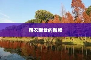 粗衣粝食的解释