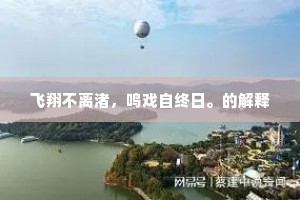 飞翔不离渚，鸣戏自终日。的解释