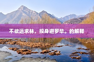 不欲远求林，投身避罗毕。的解释