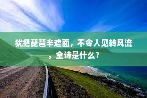 犹把琵琶半遮面，不令人见转风流。全诗是什么？