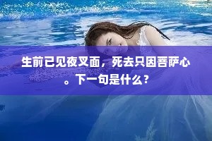 生前已见夜叉面，死去只因菩萨心。下一句是什么？