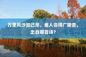 万里风沙知己尽，谁人会得广陵音。出自哪首诗？