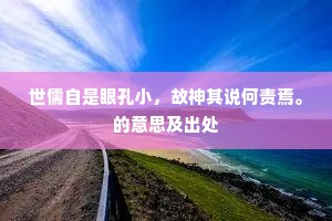 世儒自是眼孔小，故神其说何责焉。的意思及出处