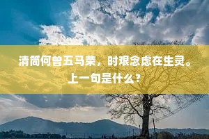 清简何曾五马荣，时艰念虑在生灵。上一句是什么？
