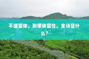 不道留侬，到便侬留住。全诗是什么？