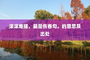 滚滚难描，最是伤春句。的意思及出处