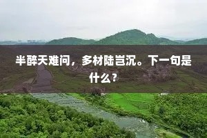 半醉天难问，多材陆岂沉。下一句是什么？