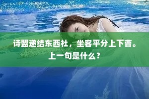 诗盟递结东西社，坐客平分上下曹。上一句是什么？