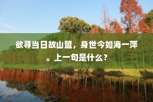 欲寻当日故山盟，身世今如海一萍。上一句是什么？