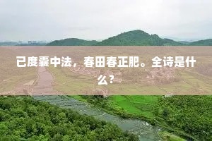 已度囊中法，春田春正肥。全诗是什么？