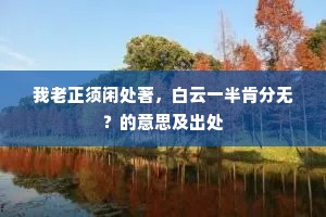 我老正须闲处著，白云一半肯分无？的意思及出处