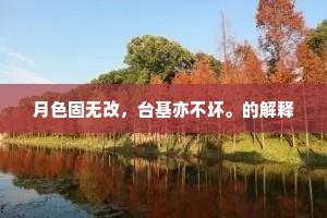 月色固无改，台基亦不坏。的解释