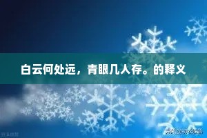 白云何处远，青眼几人存。的释义