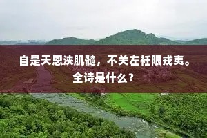 自是天恩浃肌髓，不关左衽限戎夷。全诗是什么？
