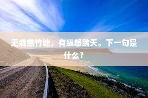 无栽慈竹地，有纵怒鹏天。下一句是什么？