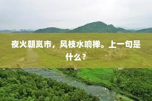 夜火朝岚市，风枝水响禅。上一句是什么？
