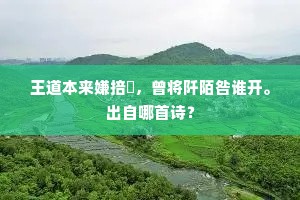 王道本来嫌掊尅，曾将阡陌咎谁开。出自哪首诗？