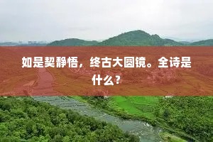 如是契静悟，终古大圆镜。全诗是什么？