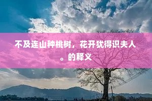 不及连山种桃树，花开犹得识夫人。的释义